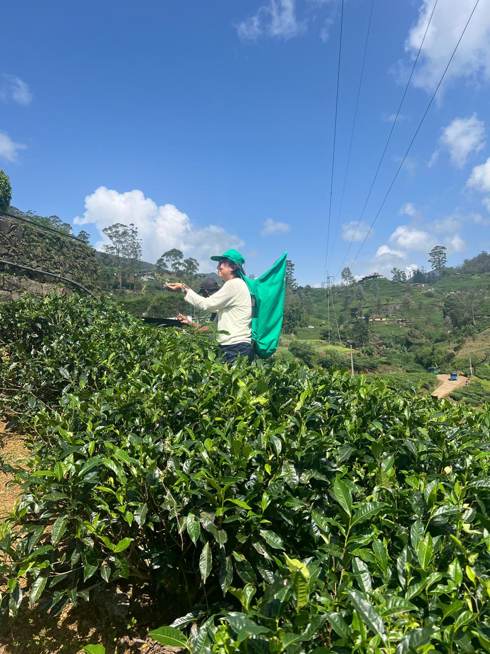 WhatsApp Image 2025-08-21 at 12.54.04.jpeg